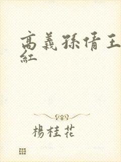 高义孙倩王申美红