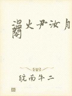 温火尹汝月笔趣阁封面