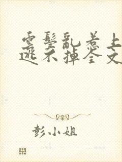 云鬓乱惹上权臣逃不掉全文阅读封面