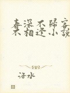 春深不归客清梦不相逢小说免费