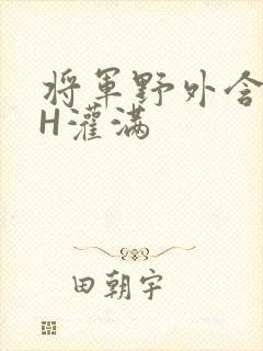 将军野外含公主H灌满封面