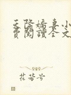 天降娇妻小说免费阅读全文