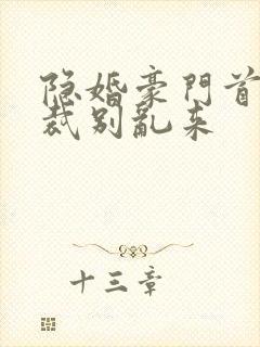 隐婚豪门首席总裁别乱来