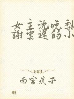 女主沈晚梨男主谢云迟的小说