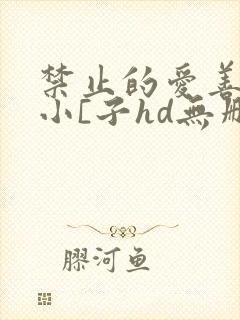 禁止的爱善良的小[子hd无删减播放韩