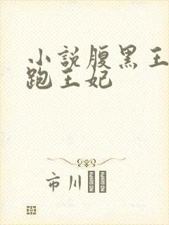 小说腹黑王爷逃跑王妃