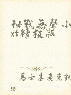 秘战无声小说txt精校版