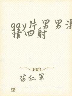 gay片男男激情四射