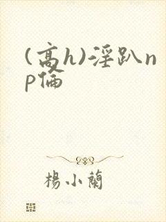 (高h)淫趴np伦