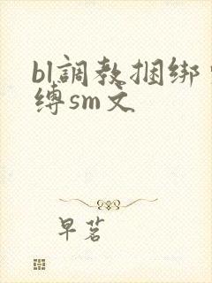bl调教捆绑束缚sm文