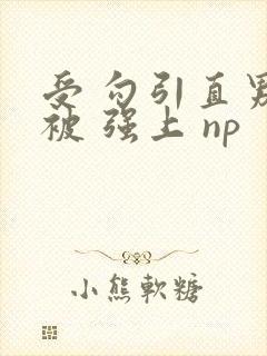 受 勾引直男 被 强上 np封面