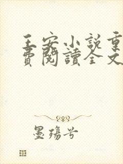 王安小说重生免费阅读全文