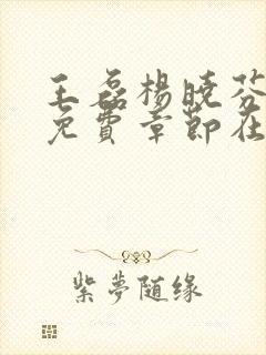 王磊杨晓芬后妈免费章节在线阅读小