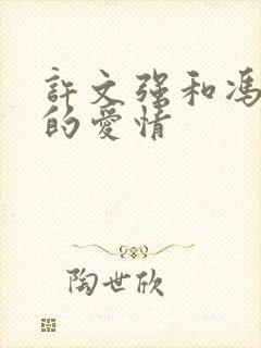 许文强和冯程程的爱情