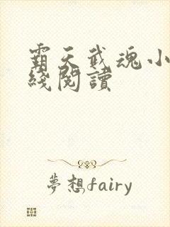 霸天武魂小说在线阅读