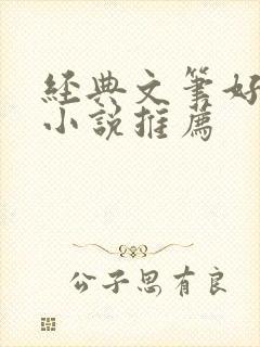 经典文笔好言情小说推荐封面