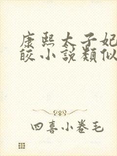 康熙太子妃沈皎皎小说类似