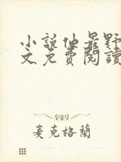 小说他最野了全文免费阅读