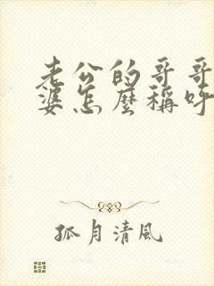 老公的哥哥的老婆怎么称呼