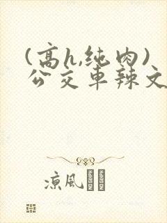 (高h,纯肉)公交车辣文
