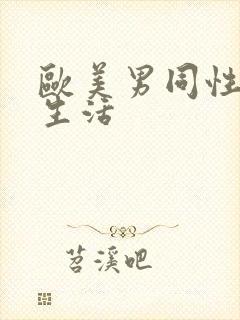 欧美男同性恋性生活
