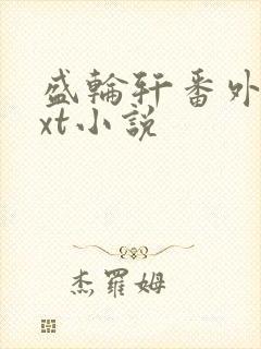 盛轮轩番外篇txt小说