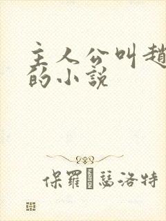 主人公叫赵凤声的小说