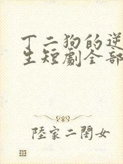 丁二狗的逆袭人生短剧全部播放封面