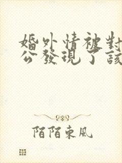 婚外情被对方老公发现了该怎么办封面