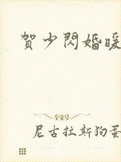 贺少闪婚暖妻