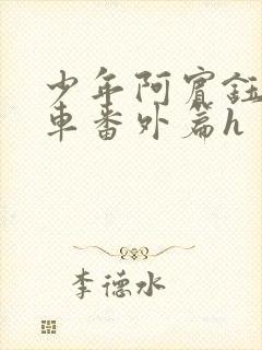 少年阿宾钰慧学车番外篇h