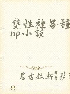 双性被各种淫玩np小说