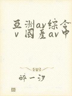 亚洲av综合aⅴ国产av中文