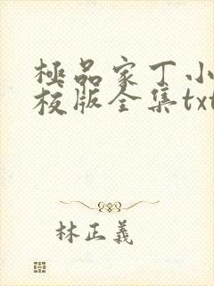 极品家丁小说精校版全集txt