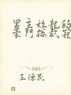 男主姓龙的小说豪门总裁宠文封面
