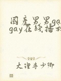 国产男男gaygay在线播放封面