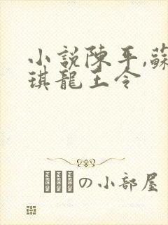 小说陈平,苏雨琪龙王令封面
