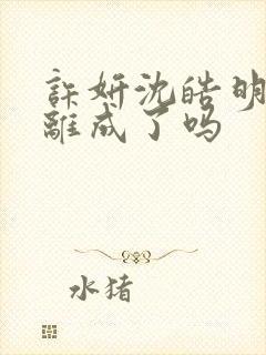 许妍沈皓明最后离成了吗