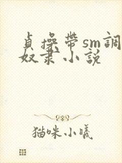 贞操带sm调教奴隶小说