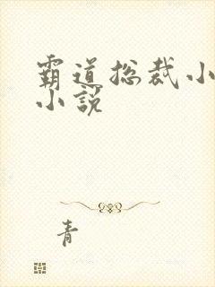 霸道总裁小娇妻小说