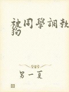 被同学调教成母狗