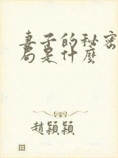 妻子的秘密大结局是什么
