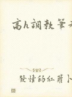 高h调教笔趣阁封面