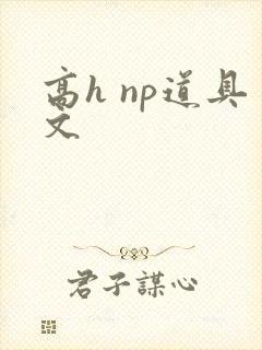 高h np道具文