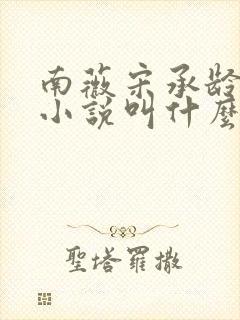 南薇宋承龄原著小说叫什么名字封面