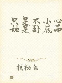 只是不小心发现她是卧底而已封面
