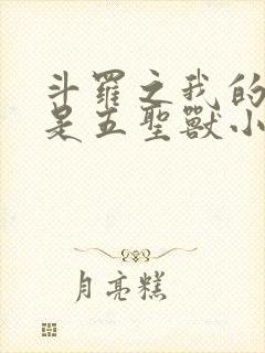 斗罗之我的武魂是五圣兽小说