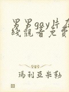 男男gay片在线观看免费封面