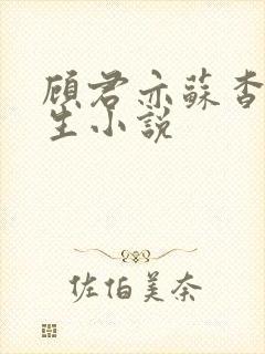 顾君亦苏杳国防生小说