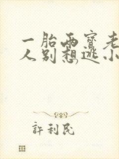 一胎两宝老婆大人别想逃小说全文免费阅读